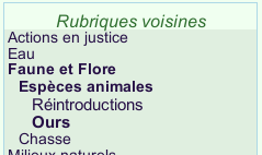 Rubriques voisines