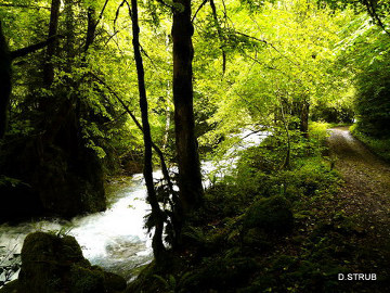 Le ruisseau d'Estours