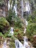 Cascade et biodiversité